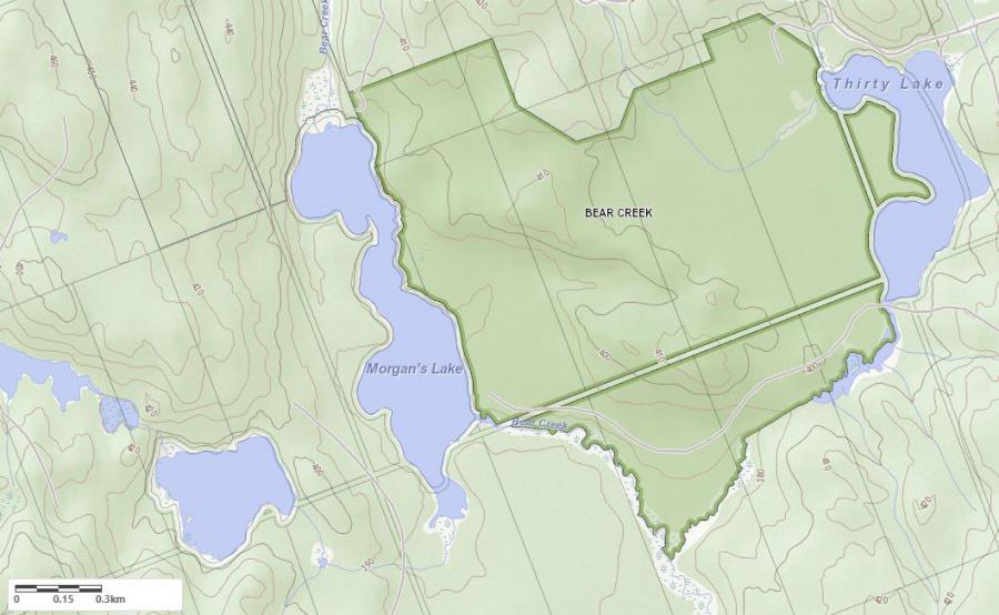 Topographical Map of Morgans Lake in Municipality of Kearney and the District of Parry Sound